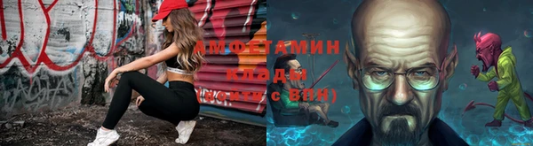 прущие грибы Алзамай