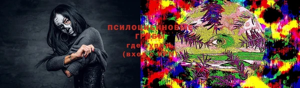 прущие грибы Алзамай