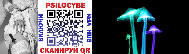Галлюциногенные грибы Cubensis Новосиль